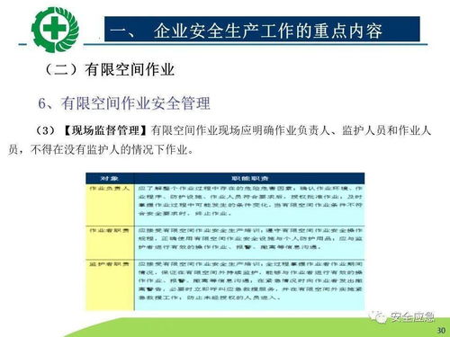 生產(chǎn)經(jīng)營(yíng)單位安全生產(chǎn)檢查 內(nèi)容、程序、方法及網(wǎng)絡(luò)技術(shù)服務(wù)的應(yīng)用